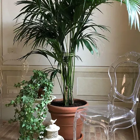 Couette-café Le Di San Vitale