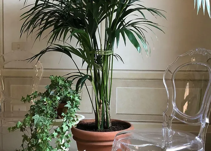 Bed & Breakfast Le Di San Vitale